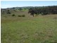 1764 Sapphire Road, Biala NSW 2581