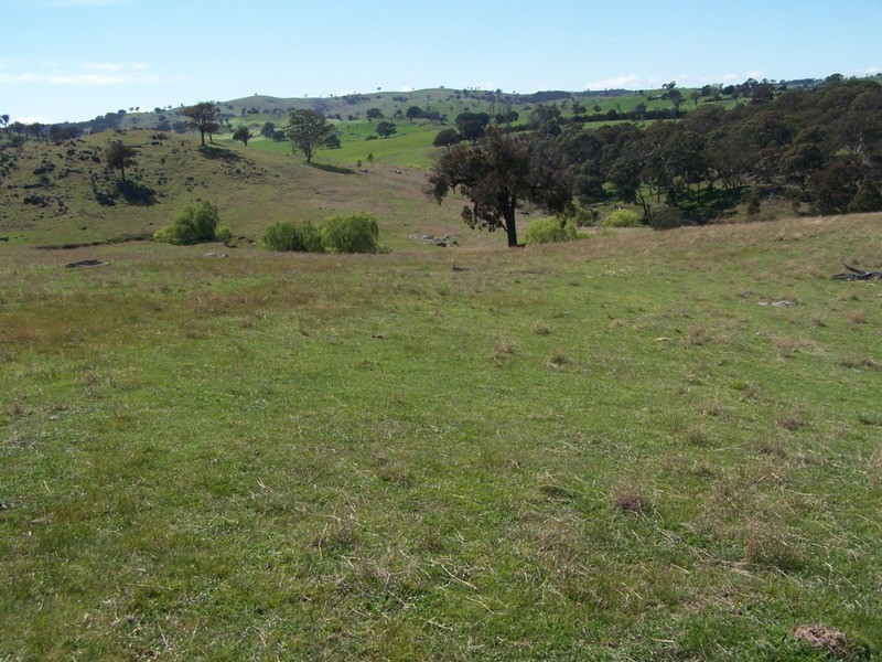 1764 Sapphire Road, Biala NSW 2581