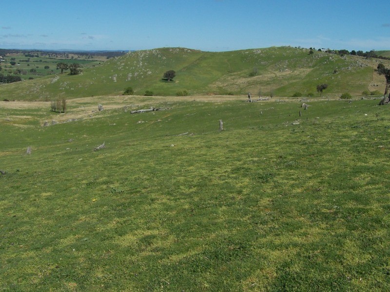 1764 Sapphire Road, Biala NSW 2581