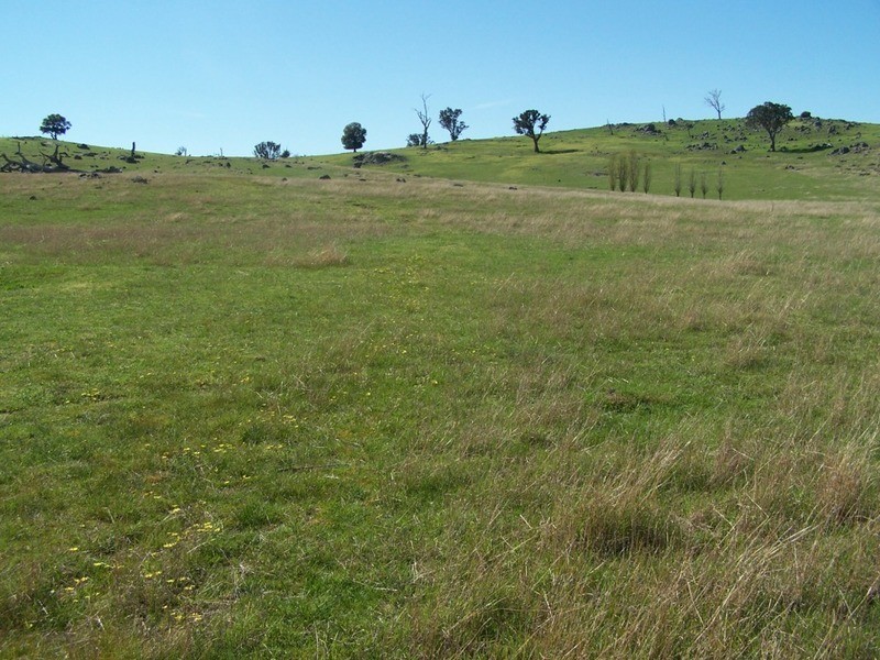 1764 Sapphire Road, Biala NSW 2581