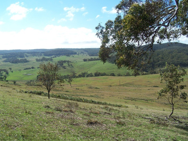 Lot 171 Jerrong Road, Taralga NSW 2580