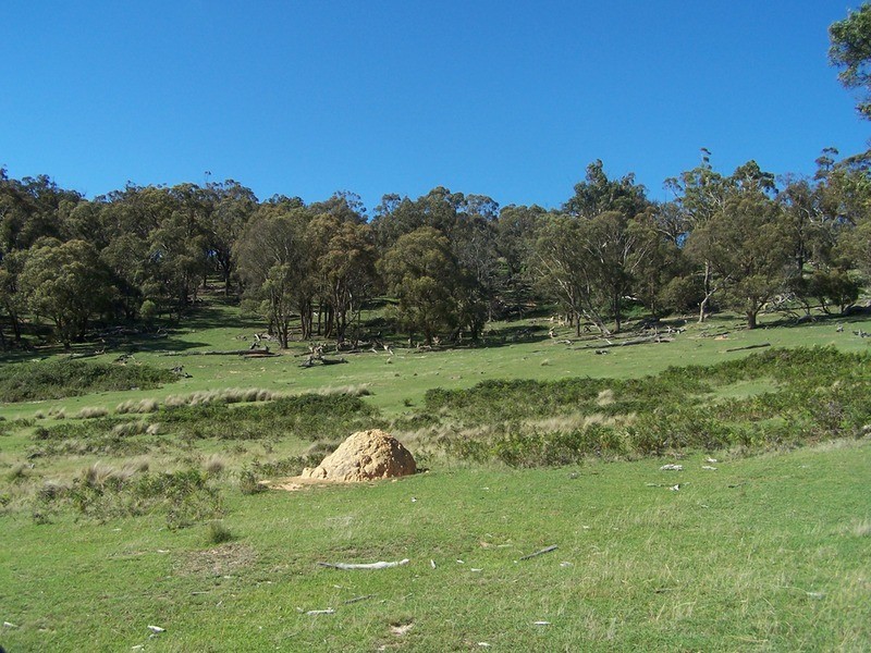 Lot 171 Jerrong Road, Taralga NSW 2580