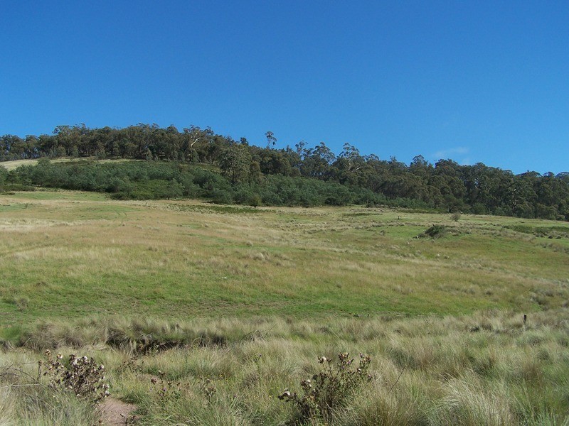 Lot 171 Jerrong Road, Taralga NSW 2580