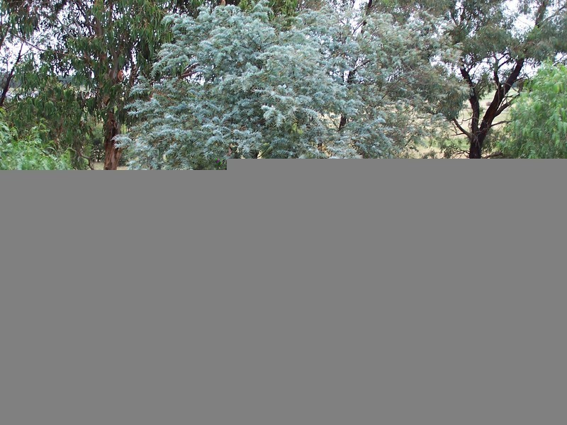 34 Yarrowlow Street, Goulburn NSW 2580