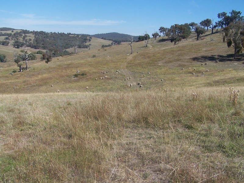 331 Mulgowrie Road, Crooked Corner NSW 2583