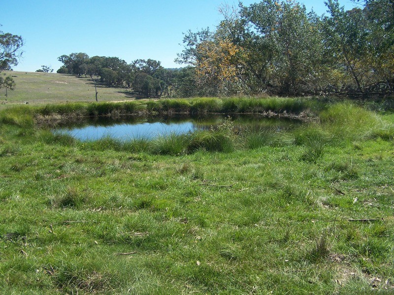 331 Mulgowrie Road, Crooked Corner NSW 2583