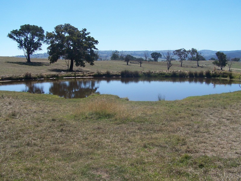 331 Mulgowrie Road, Crooked Corner NSW 2583