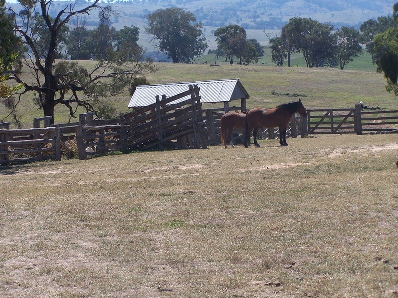 331 Mulgowrie Road, Crooked Corner NSW 2583