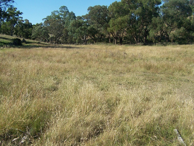 331 Mulgowrie Road, Crooked Corner NSW 2583