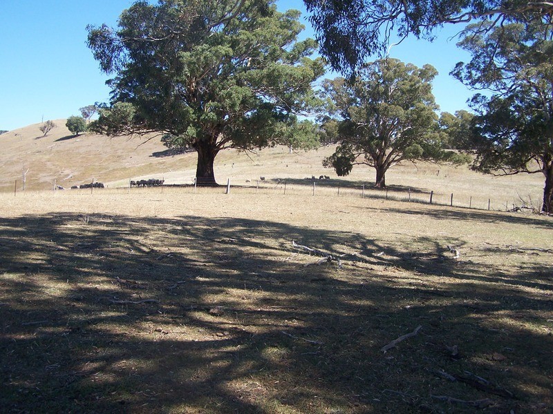 331 Mulgowrie Road, Crooked Corner NSW 2583