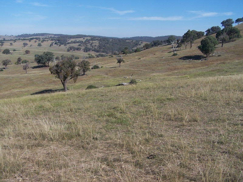 331 Mulgowrie Road, Crooked Corner NSW 2583