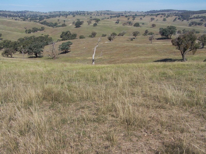 331 Mulgowrie Road, Crooked Corner NSW 2583