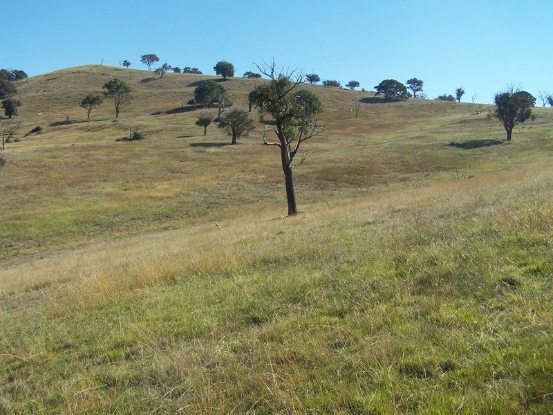 331 Mulgowrie Road, Crooked Corner NSW 2583