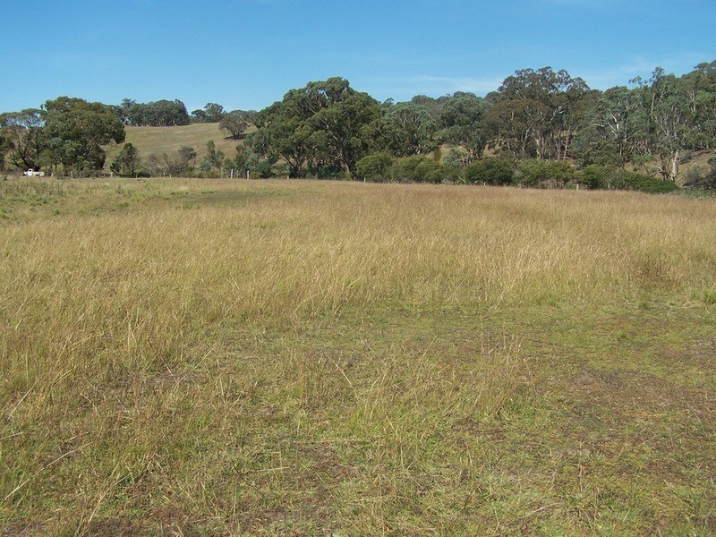 331 Mulgowrie Road, Crooked Corner NSW 2583