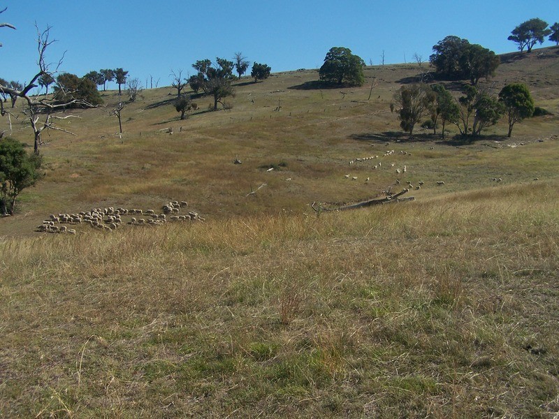 331 Mulgowrie Road, Crooked Corner NSW 2583