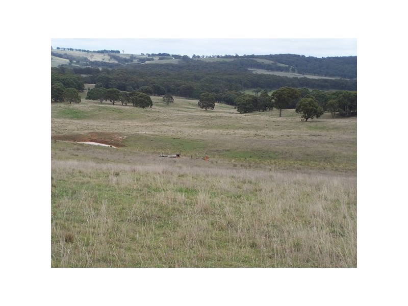 Lot 1 Bannister Lane, Goulburn NSW 2580