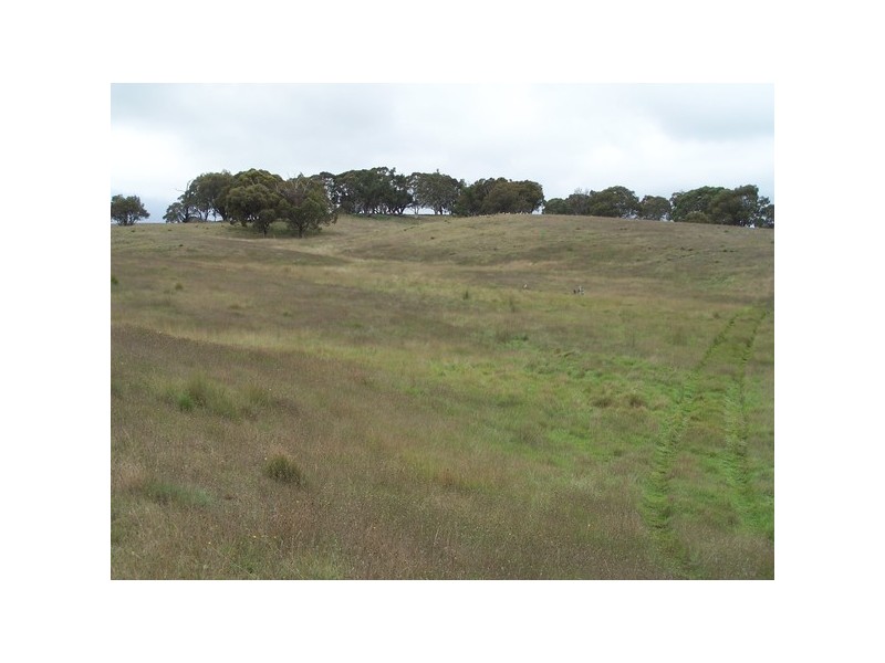 Lot 4 Bannister Lane, Bannister NSW 2580