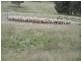 Lot 4 Bannister Lane, Bannister NSW 2580