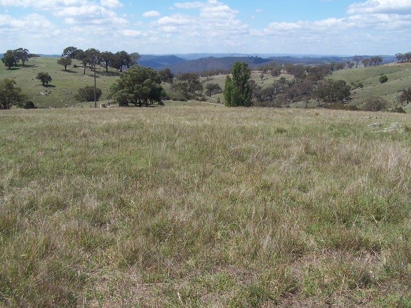 Lot 3 Peach Gardens Road, Bigga NSW 2583