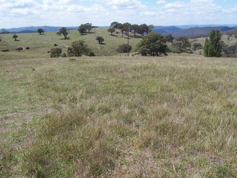 Lot 3 Peach Gardens Road, Bigga NSW 2583