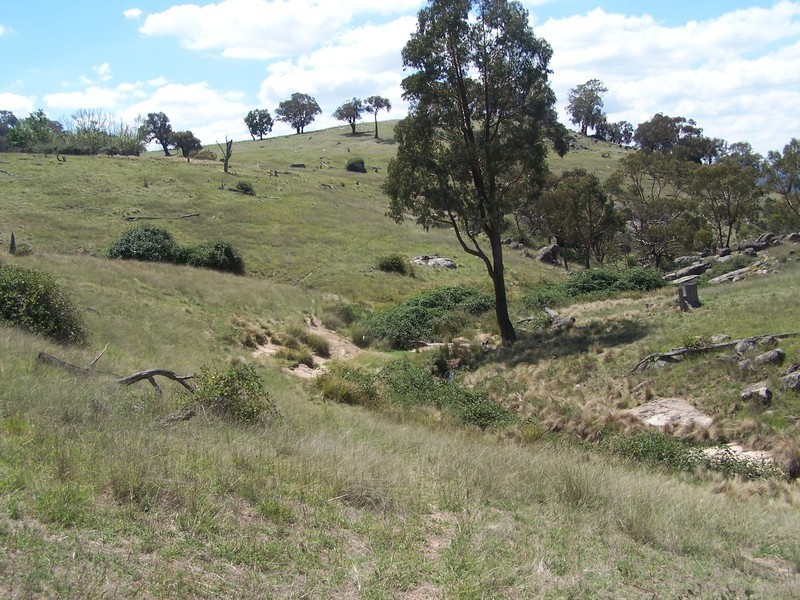 Lot 3 Peach Gardens Road, Bigga NSW 2583