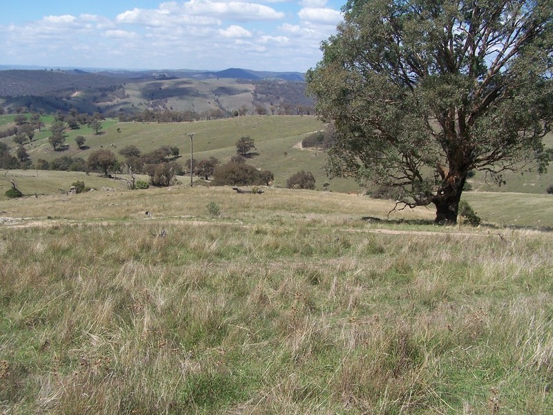 Lot 4 Peach Gardens Road, Bigga NSW 2583