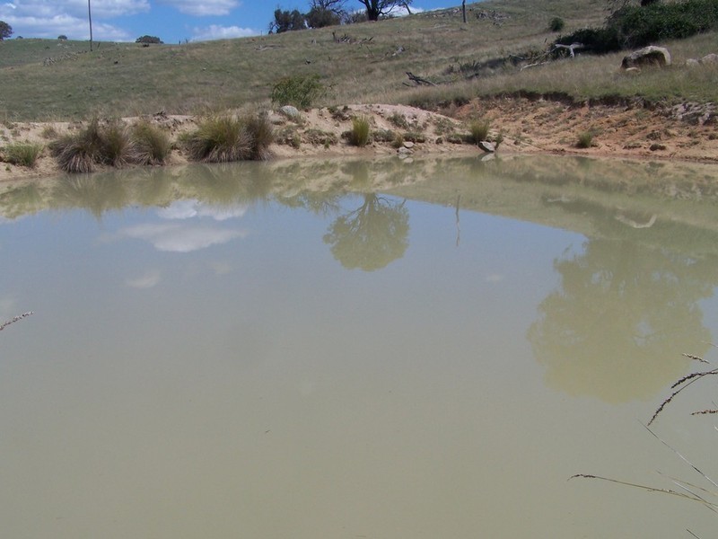 Lot 4 Peach Gardens Road, Bigga NSW 2583