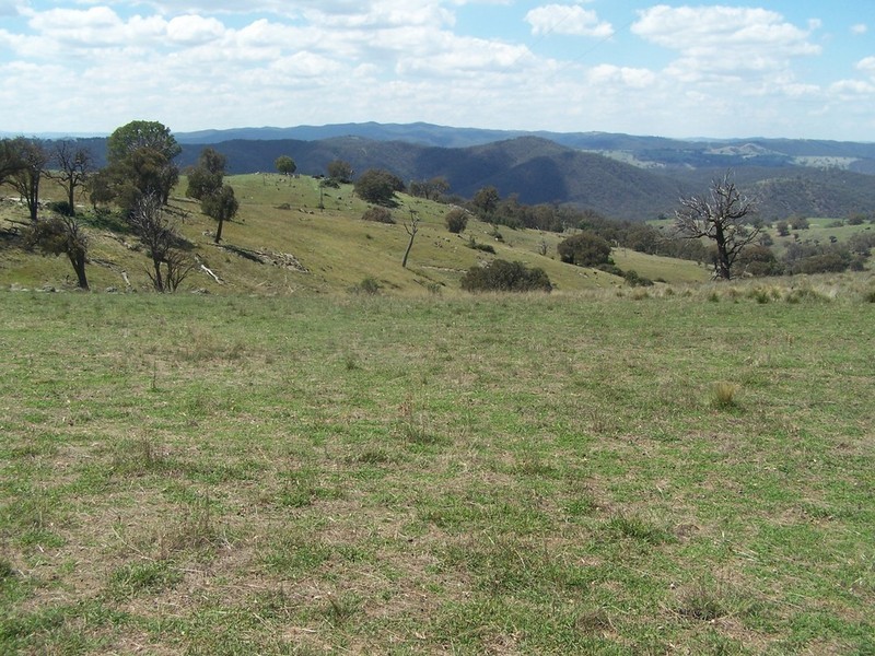 Lot 4 Peach Gardens Road, Bigga NSW 2583