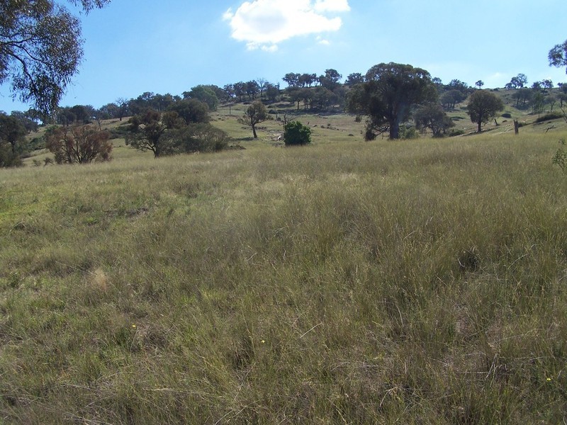 Lot 4 Peach Gardens Road, Bigga NSW 2583