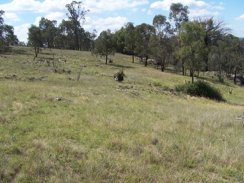 Lot 4 Peach Gardens Road, Bigga NSW 2583