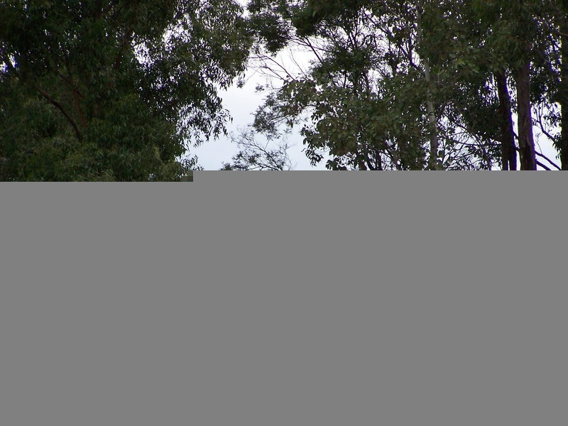 311 Glynmar Road, Marulan NSW 2579