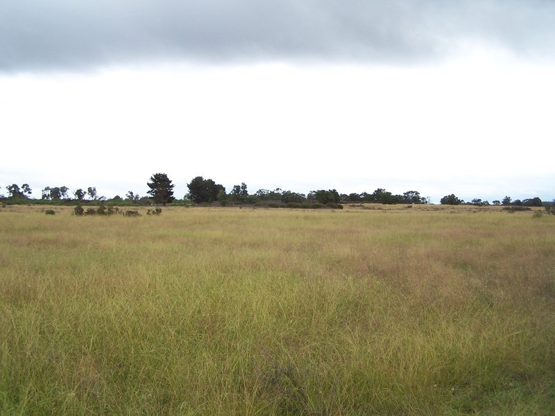 311 Glynmar Road, Marulan NSW 2579