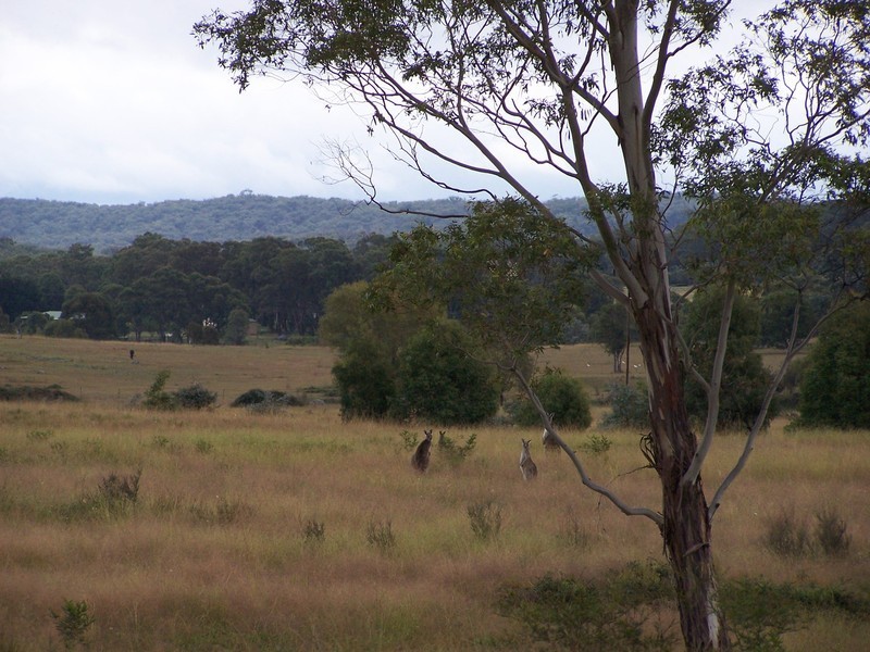 311 Glynmar Road, Marulan NSW 2579