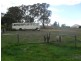 1 Bell Street, Binda NSW 2583