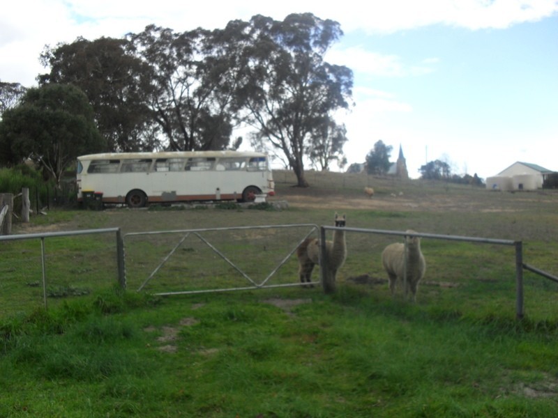 1 Bell Street, Binda NSW 2583