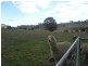 1 Bell Street, Binda NSW 2583