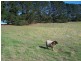 2487 Taralga Road, Laggan NSW 2583