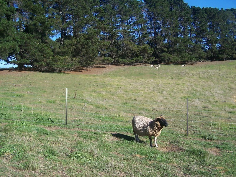 2487 Taralga Road, Laggan NSW 2583