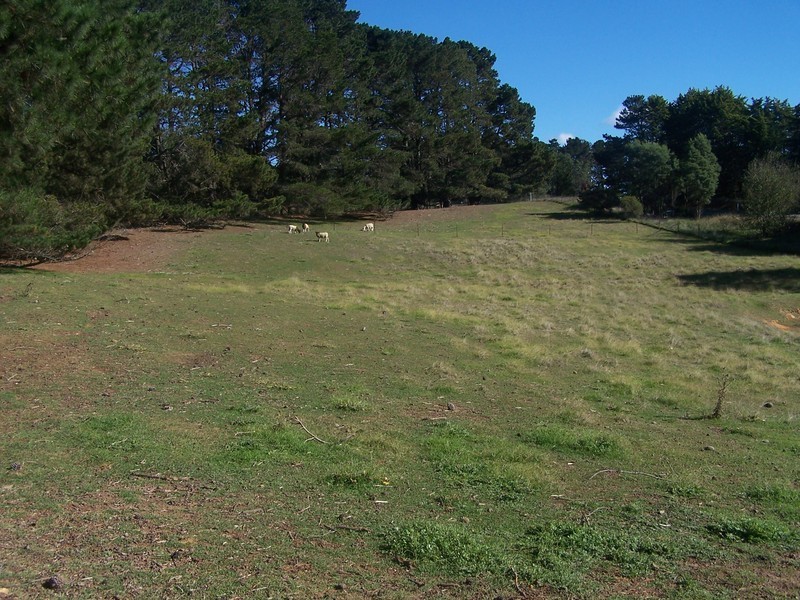 2487 Taralga Road, Laggan NSW 2583