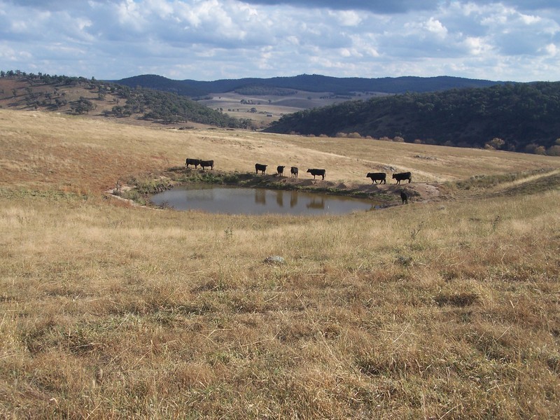 “Sugarloaf” Rhyanna Road, Goulburn NSW 2580