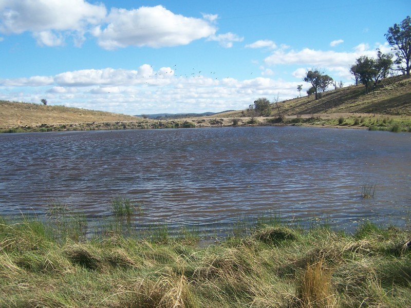 “Sugarloaf” Rhyanna Road, Goulburn NSW 2580