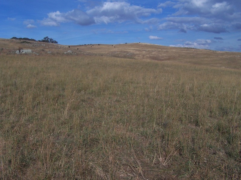 “Sugarloaf” Rhyanna Road, Goulburn NSW 2580