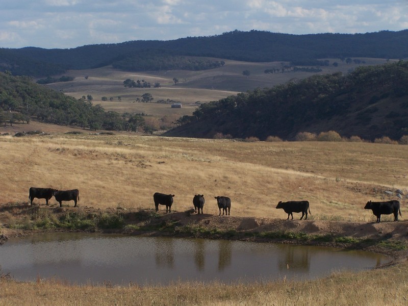 “Sugarloaf” Rhyanna Road, Goulburn NSW 2580