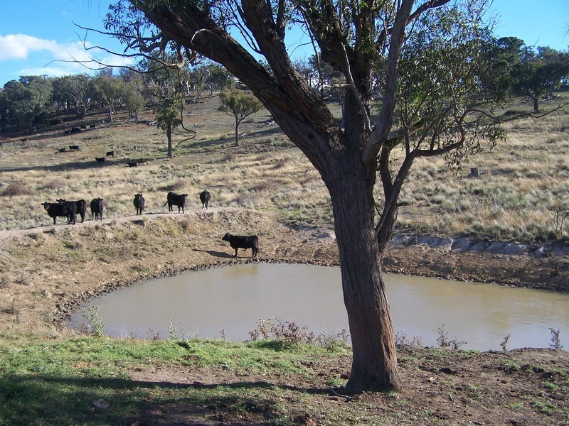 “Sugarloaf” Rhyanna Road, Goulburn NSW 2580