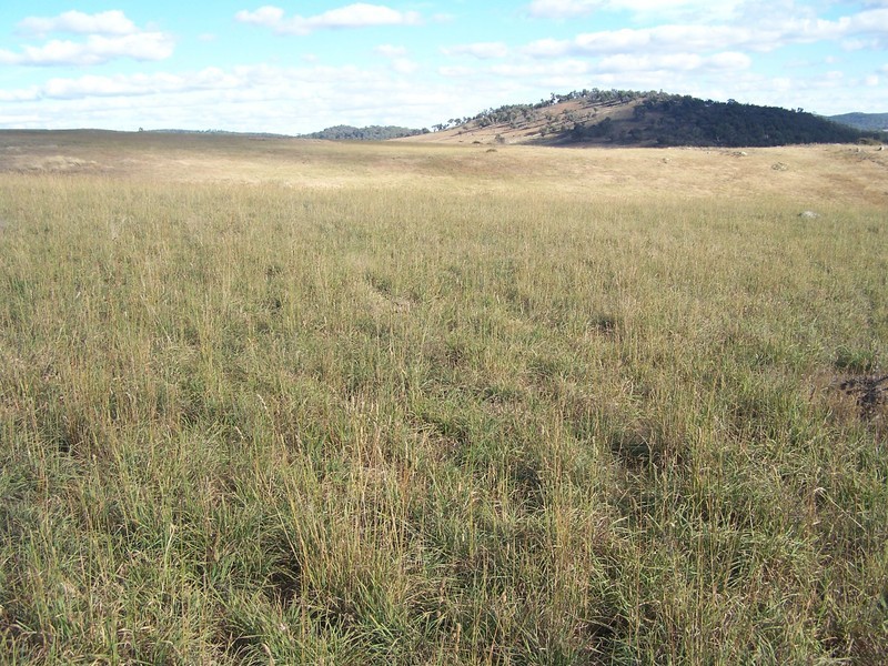 “Sugarloaf” Rhyanna Road, Goulburn NSW 2580