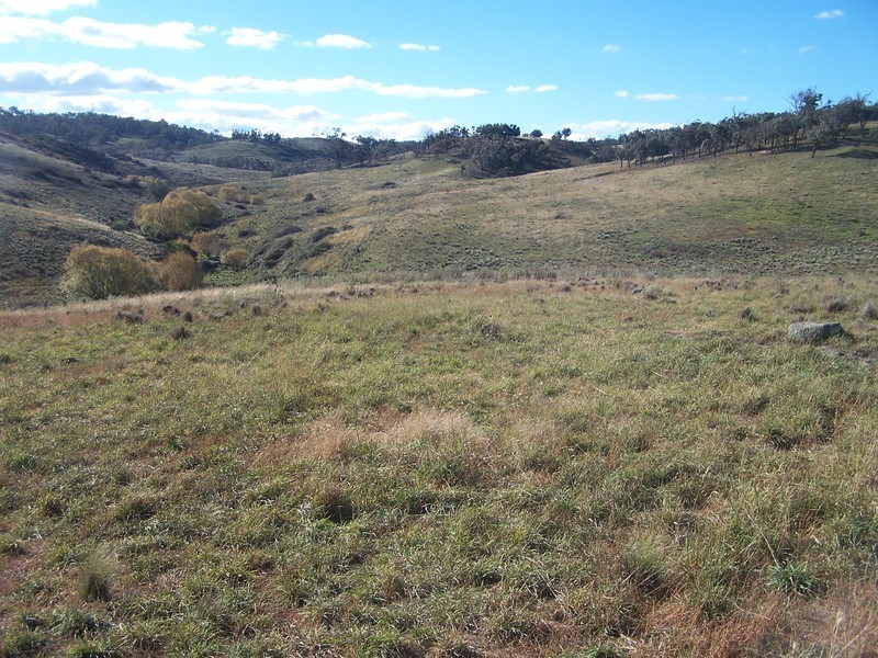 “Sugarloaf” Rhyanna Road, Goulburn NSW 2580