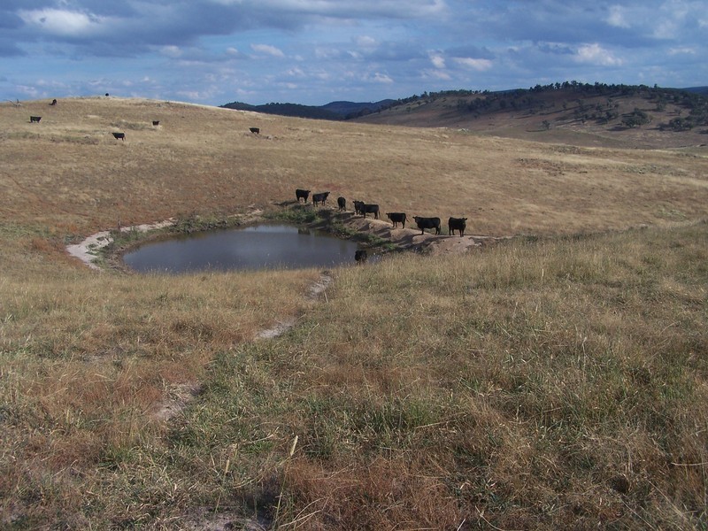 “Sugarloaf” Rhyanna Road, Goulburn NSW 2580