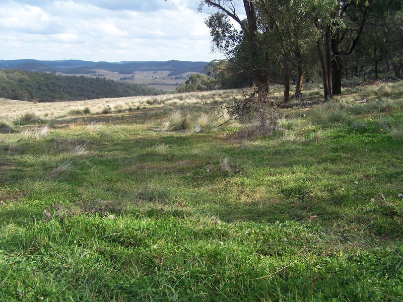“Turrallo Creek” Back Arm Road, Middle Arm NSW 2580