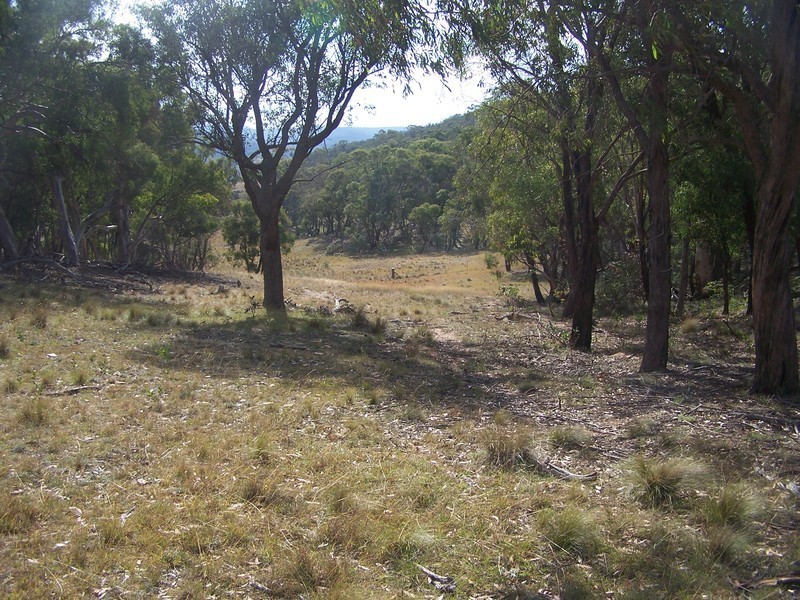 “Turrallo Creek” Back Arm Road, Middle Arm NSW 2580