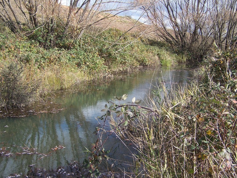 “Turrallo Creek” Back Arm Road, Middle Arm NSW 2580